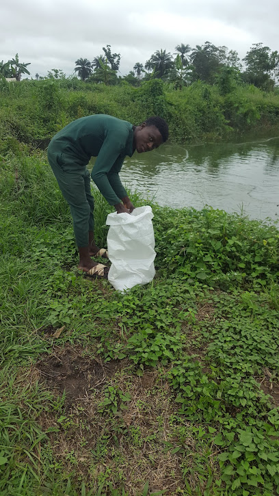 Abuad Farm restaurant exterior and interior view