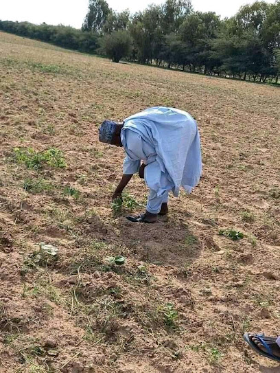 Bukkateen Gawon Nama restaurant exterior and interior view