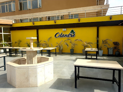 Cilantro Tahir restaurant exterior and interior view