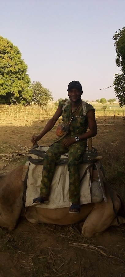 City Cyber Cafe restaurant exterior and interior view