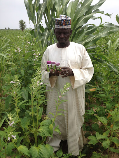 Damakosu special bread restaurant exterior and interior view