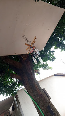 La Rosone Restaurant and Bar restaurant exterior and interior view