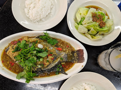 Restaurant Green Forest Cafe( Abaomege, Nigeria) restaurant exterior and interior view