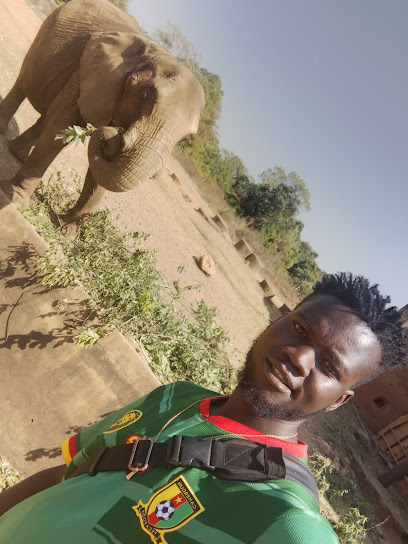 Zoo View garden restaurant exterior and interior view